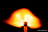 burning_match_120310_img-020.jpg