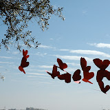 DSC_3607.JPG