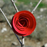 DSC_3951.JPG