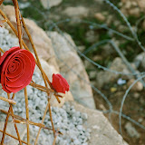 DSC_4276.JPG