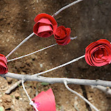 DSC_4497.JPG