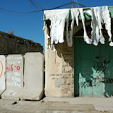 DSC_3692.JPG