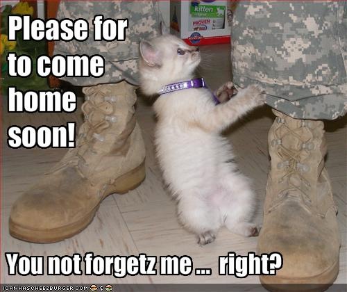 [funny-pictures-kitten-asks-soldier-to-come-home-soon[3].jpg]