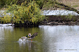 DSC_0139.jpg