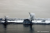 _DSC3191.jpg