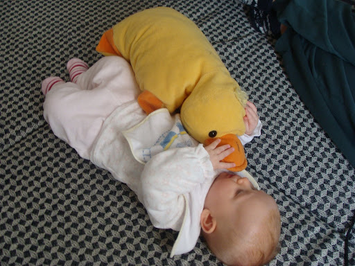 DSC04800.JPG