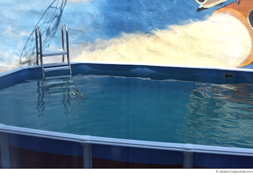 Бозон Хиггса - 