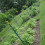 ElizaK28's Berry Patch garden