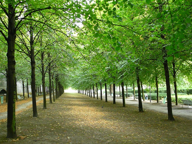 [P1100889[3].jpg]