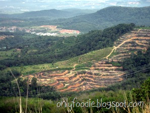 IMG_0254 IMG_0254
