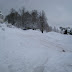 SL705099.JPG