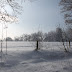 IMG_6661.JPG