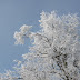 IMG_6650.JPG