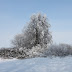 IMG_6680.JPG