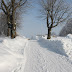 IMG_6687.JPG