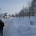 SL705168.JPG