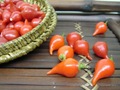 pimenta03 pimenta03