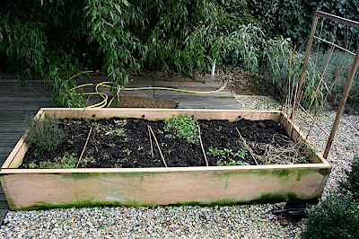 potager en hiver