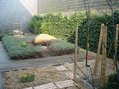 potager