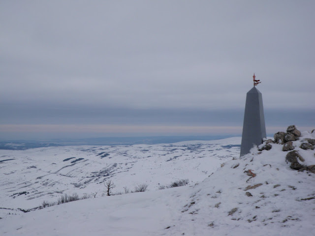 P1080793.JPG