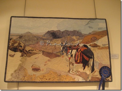IMG_7876 IMG_7876