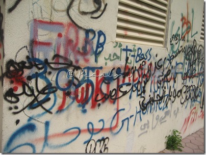 IMG_7985 IMG_7985