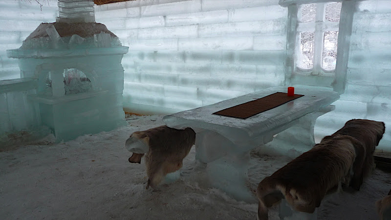 la maison de glace
