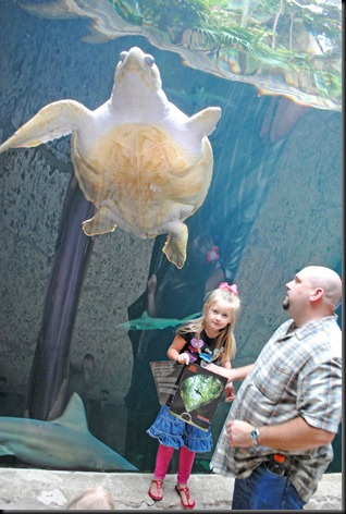 Dallas Aquarium (9)