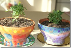 plantpots