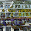 DSC03332.JPG - 3.07. Kopenhaga - fasada w prawdziwych kwiatach