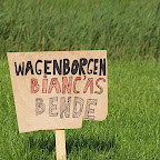 P1017469.JPG