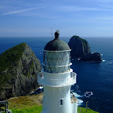 New Years 2008 Cape Brett