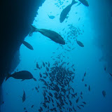 25 May 2008 Poor Knights Islands