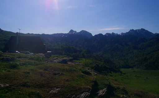 tauru