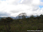 DSC01443_1200x900.jpg