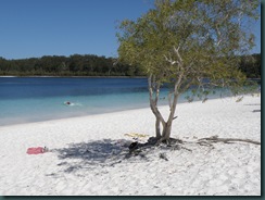 Kristallklart vatten och kritvit sand vid Lake McKinzie