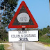 Dšring_Ralph_Affenschild