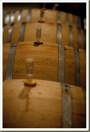 _MG_0038