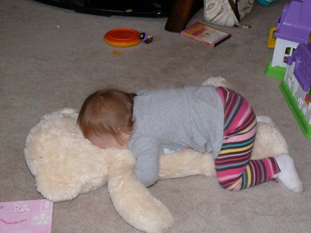 [P1050662[3].jpg]