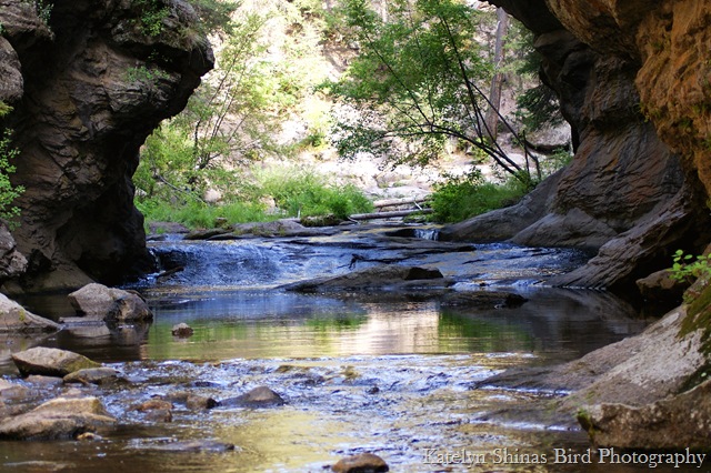 [East Fork 5 copy[2].jpg]