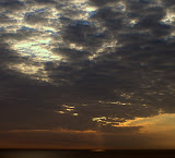 IMG_3062.jpg