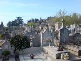 DSC00270.JPG