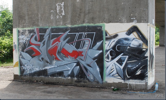 DSC_0317