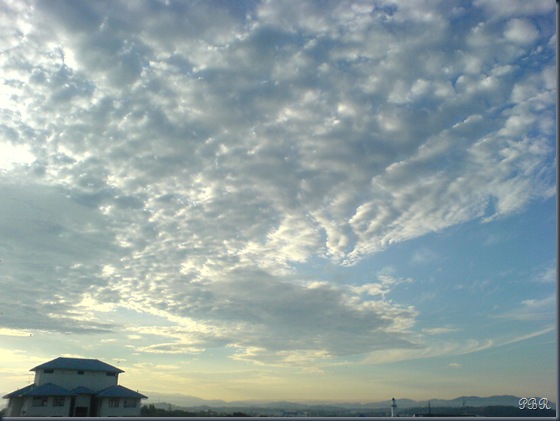 DSC01746