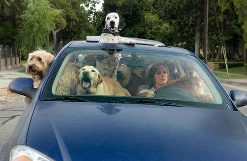 [2007_year_of_the_dog_001[3].jpg]