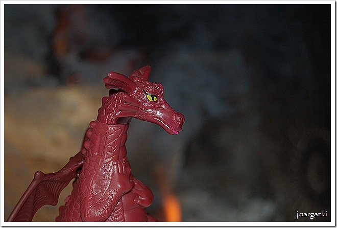 DSC_09950001 DSC_09950001