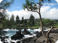 2010-11-29 Maui_roadtoHana 052 (2)