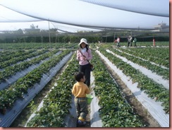DSC02161_調整大小