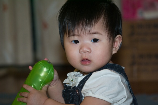 [IMGP5988[11].jpg]