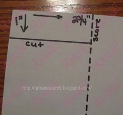 ����� ����� �����������������������������